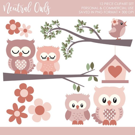 Owl Clipart, Neutral Owl Clipart, Boho Owl Clipart, Bird Clipart, Cute Owl Clipart, Owls Clipart, Flower Clipart, Birdhouse, Branch Il_570xn