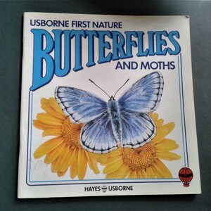 Butterflies and Moths, Usborne First Nature Books, childrens nature book,  free shipping in Canada and the United States