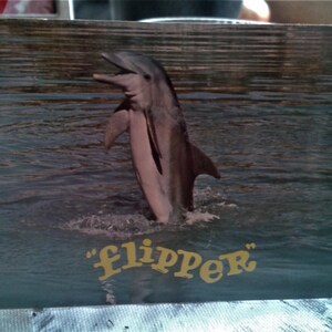Flipper - Carte postale Flipper the dolphin, MGM Seaquarium Florida, carte postale des années 1960, livraison gratuite au Canada et aux États-Unis