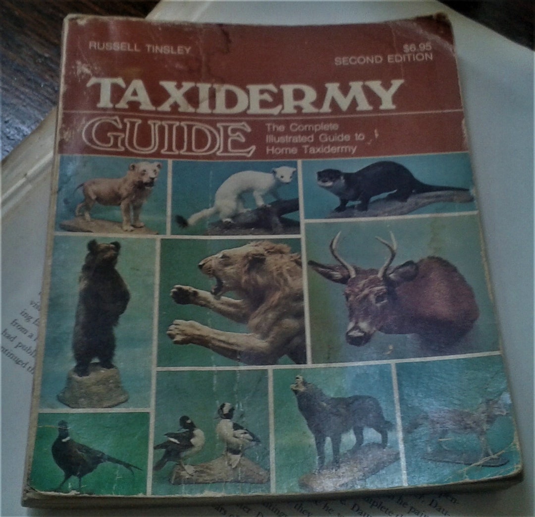 Taxidermy Guide, Russell Tinsley, Doityourself Book, Taxidermy