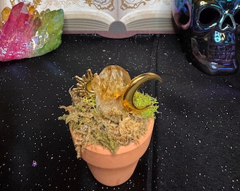 Mini Fairy Garden with Crystals, Enchanted Terracotta Pot, Cottagecore Crystal Decor, Whimsical Gift