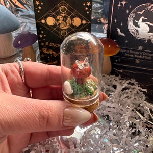 May include: A miniature terrarium featuring a red mushroom with a butterfly inside a glass dome. The dome sits on a cork base, surrounded by green moss. The background includes a book with the word "SPELLS" and other decorative mushrooms.