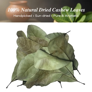 Puede incluir: Un montón de hojas secas de anacardo, con tonos verdes y marrones. El texto "100% Natural Dried Cashew Leaves" indica que son recolectadas a mano y secadas al sol. La imagen sugiere un producto natural, posiblemente para uso culinario o medicinal.