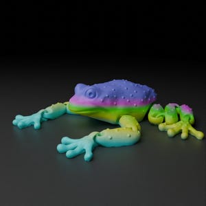 May include: A colorful frog toy with a textured, bumpy back in shades of purple, pink, and blue. The frog's belly transitions from yellow to green, with blue and green limbs. The frog is lying on a dark gray surface.