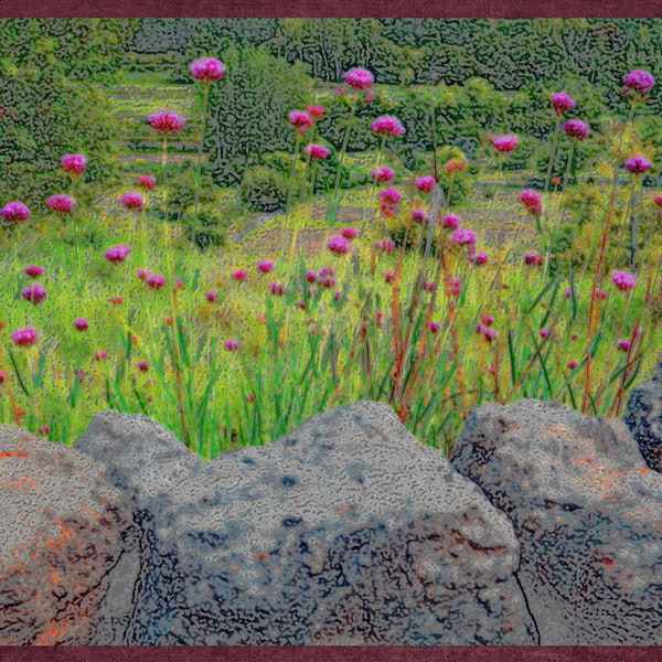 Photo notecard of stone wall and flowers in northern Spain, 5.5"x4.25", blank. Decorative border.