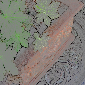 Foto-Notiz-Karte von Terrakotta-Blumentopf auf einem dekorativen Tisch in einem niederländischen Land Garten, 5,5" x4.25", leere.