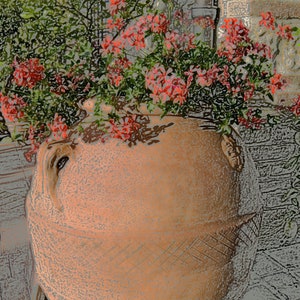 Blumen in einem Blumenkasten Terrakotta in der Toskana, Italien.  4" x5.6" Foto-Grußkarte, leer.
