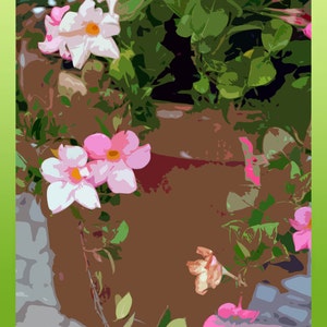 Peut inclure: Des fleurs roses et blanches avec des feuilles vertes poussant sur un fond brun. Les fleurs sont nettes et l'arrière-plan est flou.