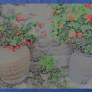 Peut inclure: Deux pots en terre cuite avec des plantes vertes et des fleurs rouges, un pot est plus grand et plus large que l'autre, tous deux sont posés sur une surface texturée grise.