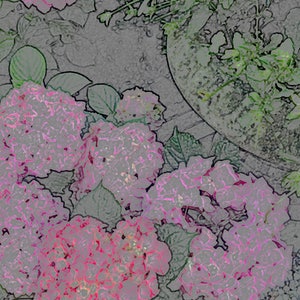 Tarjeta de nota de fotos de flores rosas en un jardín, 5.5" x4.25 holandés", en blanco.