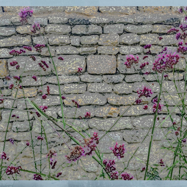 Photo note card of purple summer flowers against a brick wall in a French country garden, 5.5"x4.25", blank.