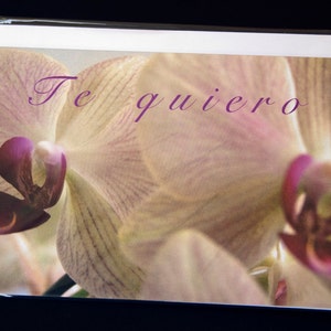 Duas orquídeas, bloco de fotos, 5,6"x4" (paisagem), texto em espanhol: "Te Quiero"
