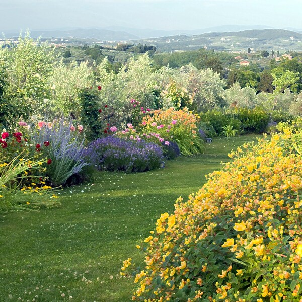 Flower garden in Tuscany, Italy.  4.25"x5.5" photo note card, blank.