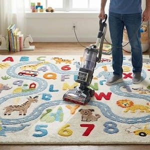 May include: A colorful children's rug with an alphabet and number design. The rug features a road with various animal illustrations and vehicles. A person is vacuuming the rug with a gray and black vacuum cleaner.