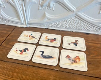 Vintage Charles McLennon Duck Coaster Set | Set of 6 Cork Back Wildlife Coasters