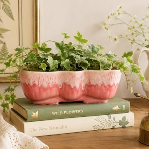May include: A pink and white glazed ceramic planter with a scalloped, three-section design, containing a trailing green and white ivy plant. The planter rests on two stacked books, one green with the text Wild Flowers and one white with The New Naturalist.