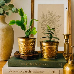 May include: Two small potted plants in ornate gold-coloured planters sit atop books. The planters have detailed embossed designs. A framed botanical print and a candle in a brass holder are in the background. A brass mister is in the foreground.
