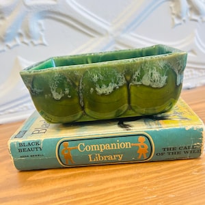 May include: A rectangular green ceramic planter with a glossy, mottled glaze finish featuring a scalloped exterior design. The planter is resting on top of a light blue hardcover book titled Black Beauty and The Call of the Wild.
