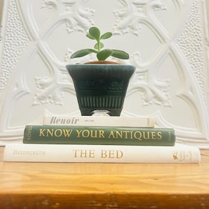 May include: A small green succulent plant in a dark teal ceramic pot resting on a stack of three books. The books are titled Renoir, Know Your Antiques, and The Bed. The stack is positioned in front of a white decorative panel with a raised pattern.