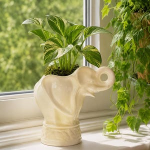 May include: A cream-coloured ceramic planter shaped like an elephant with a raised trunk. The planter holds a green and white variegated pothos plant with dark green moss covering the soil at the base of the plant stems.