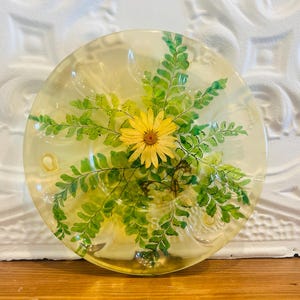 Peut inclure: Un dessous de verre rond en résine transparente avec une marguerite jaune et des feuilles de fougère vertes. Le dessous de verre est posé sur une surface en bois, avec un fond blanc texturé.