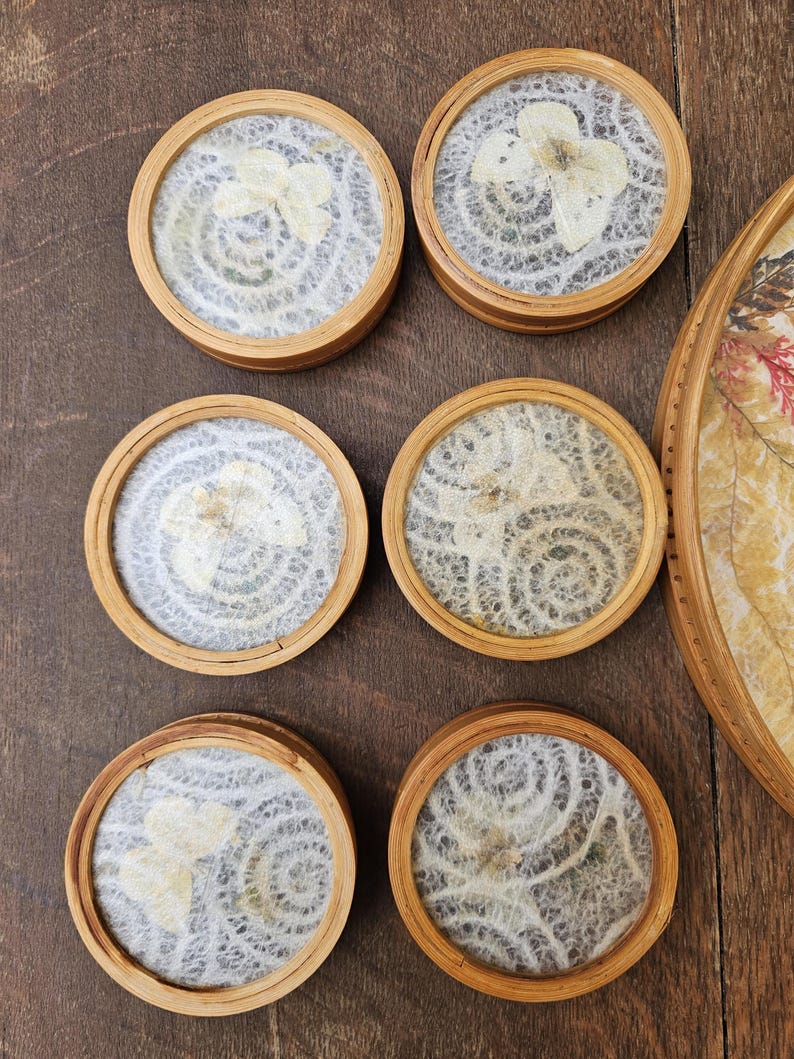 K&ouml;nnte beinhalten: Set aus sechs runden Untersetzern mit einem Rahmen aus Naturholz. Jeder Untersetzer zeigt ein Design mit getrockneten Blumen auf einem wei&szlig;en, strukturierten Hintergrund. Die Untersetzer sind auf einer Holzoberfl&auml;che angeordnet und zeigen ihre dekorative und funktionale Natur.