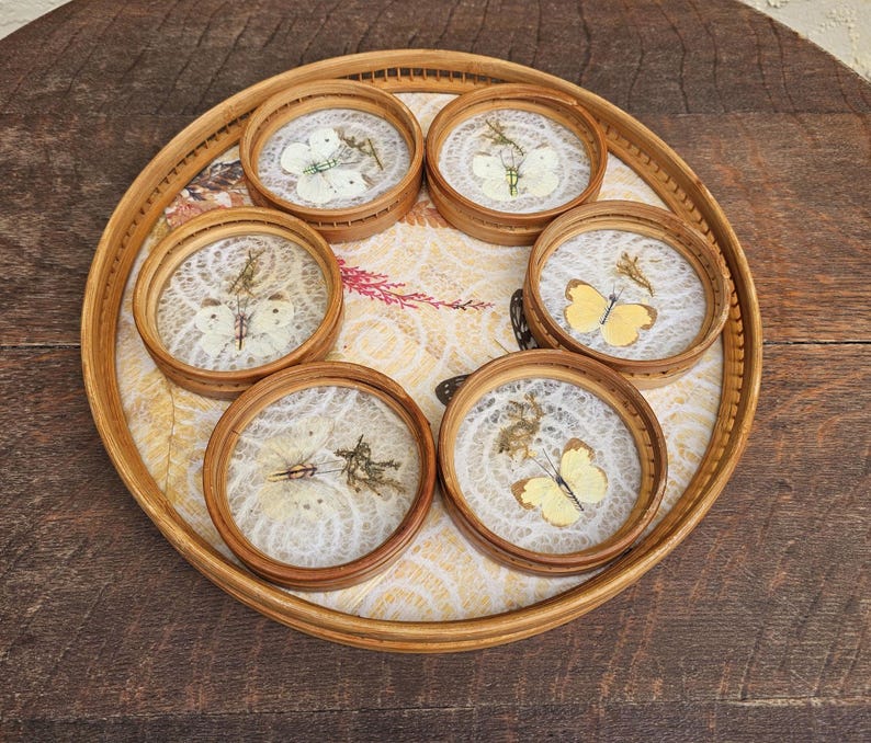 K&ouml;nnte beinhalten: Ein Set aus sechs runden Untersetzern mit Schmetterlingsmotiven, pr&auml;sentiert auf einem runden Bambustablett. Jeder Untersetzer zeigt einen Schmetterling, der in klarem Harz eingeschlossen ist, vor einem wei&szlig;en Spitzengrund. Das Tablett hat ein dekoratives Blumenmuster.