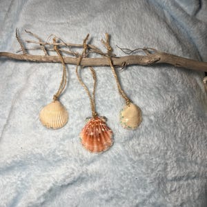 May include: Three seashell ornaments hanging from a piece of driftwood. The shells are in shades of cream, orange, and white, each suspended by a natural twine. The background is a soft, light blue fabric.