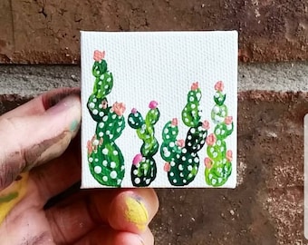 Pequeños cactus