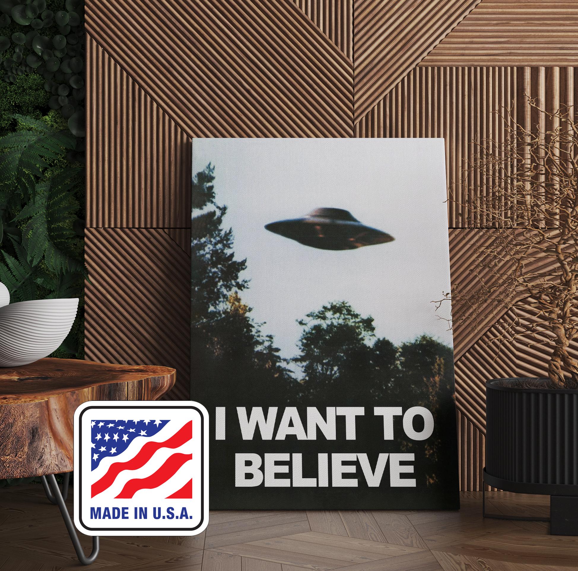 Framed I Want to Believe Poster - Etsy