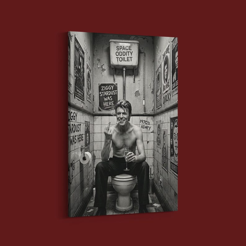 Peut inclure: Impression en noir et blanc d'un homme assis sur des toilettes, tenant un verre et faisant un geste obsc&egrave;ne. Les murs sont couverts d'affiches et de graffitis, avec les textes "SPACE ODDITY TOILET" et "ZIGGY STARDUST WAS HERE."