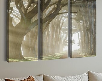 Cypress Tree Tunnel Triptych, Foggy Forest Photo, Point Reyes Wall Art