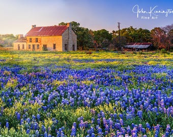 Marble House Bluebonnet Photo, Texas Wall Art, Hill Country Print