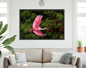 Roseate Spoonbill In Flight Photo, Florida Wall Art
