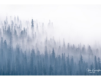 Misty Forest Photo, Glacier National Park Wall Art
