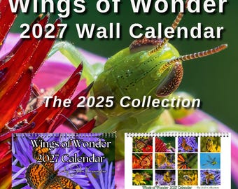 2027 Wings of Wonder Insect Photography Calendar, The 2025 Collection, Spiral Bound Nature Wall Calendar