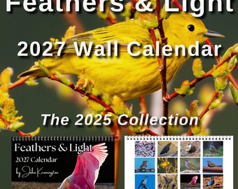 2027 Feathers & Light Bird Photography Calendar, The 2025 Collection, Spiral Bound Nature Wall Calendar