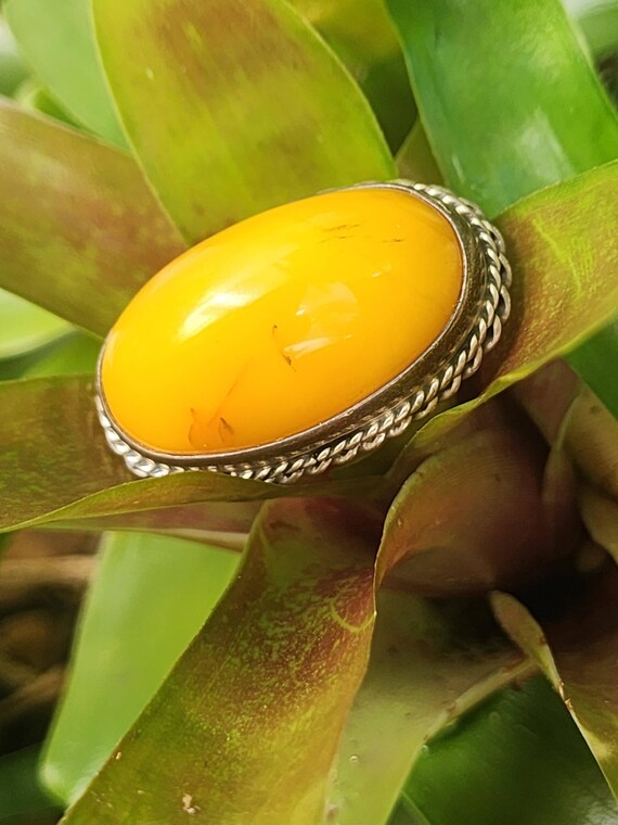 Rare Amber Ring sterling setting - image 5