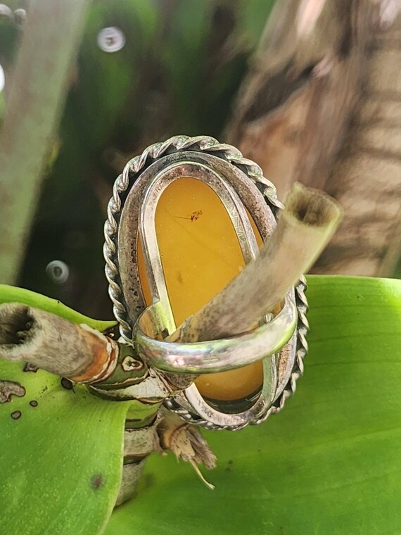 Rare Amber Ring sterling setting - image 7