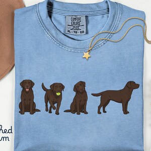 K&ouml;nnte beinhalten: Ein hellblaues T-Shirt mit einer Grafik von vier schokoladenbraunen Labradoren in verschiedenen Posen, darunter einer mit einem Tennisball. Das Shirt hat ein Comfort Colors-Etikett am Kragen mit der Gr&ouml;&szlig;e XL-TG-EG und dem Text washed denim.