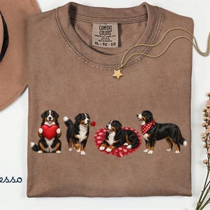 Berner sennenhund alla hjärtans dag-tröja, skjorta i komfortfärger, Berner sennenhund-tröja med grafisk design, present till Berner sennenhund