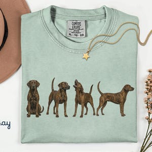 Puede incluir: Una camiseta de cuello redondo verde claro con un gráfico de cuatro perros atigrados en varias posturas. La camiseta tiene una etiqueta de la marca Comfort Colors en el cuello interior con la talla XL, TG, EG. La palabra Bay está impresa en azul.