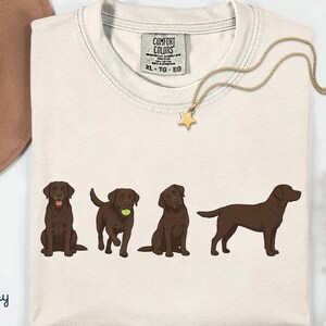 K&ouml;nnte beinhalten: Ein elfenbeinfarbenes T-Shirt mit einem Grafikdruck von vier schokoladenbraunen Labrador-Retrievern in verschiedenen Posen. Das T-Shirt hat ein Comfort Colors Markenetikett am Halsausschnitt, das die Gr&ouml;&szlig;e XL-TG-EG und 100% Baumwolle angibt.