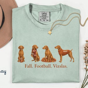 Può includere: Una t-shirt girocollo verde chiaro con una grafica di quattro cani Vizsla in varie pose a tema autunnale. Il testo sotto i cani recita Fall. Football. Vizslas. La maglietta presenta un'etichetta del marchio Comfort Colors sul colletto.