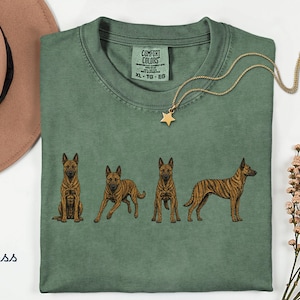 May include: A moss green crew neck t-shirt featuring a graphic print of four brindle Dutch Shepherd dogs in various poses. The shirt has a Comfort Colors brand label at the inner neckline with size XL printed on it. A gold star pendant necklace is placed.