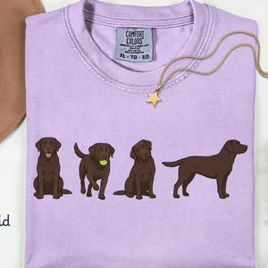 K&ouml;nnte beinhalten: Ein hellviolettes T-Shirt mit einer Grafik von vier schokoladenbraunen Labradoren in verschiedenen Posen, darunter einer mit einem Tennisball. Das Shirt hat ein Comfort Colors-Etikett am Kragen mit der Gr&ouml;&szlig;e XL-TG-EG und dem Wort Orchid darunter.