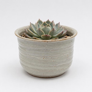 May include: A light gray, speckled ceramic planter with horizontal ridges containing a green succulent plant with pointed leaves. The pot has a smooth, glazed finish and a slightly flared rim, housing the plant in a bed of small brown pebbles.