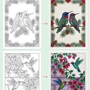 Libro para colorear de colibríes en PDF, flores mexicanas, botánica, páginas para colorear para adultos, imprimibles, diseños de Tenango Otomí Talavera, descarga instantánea. imagen 3