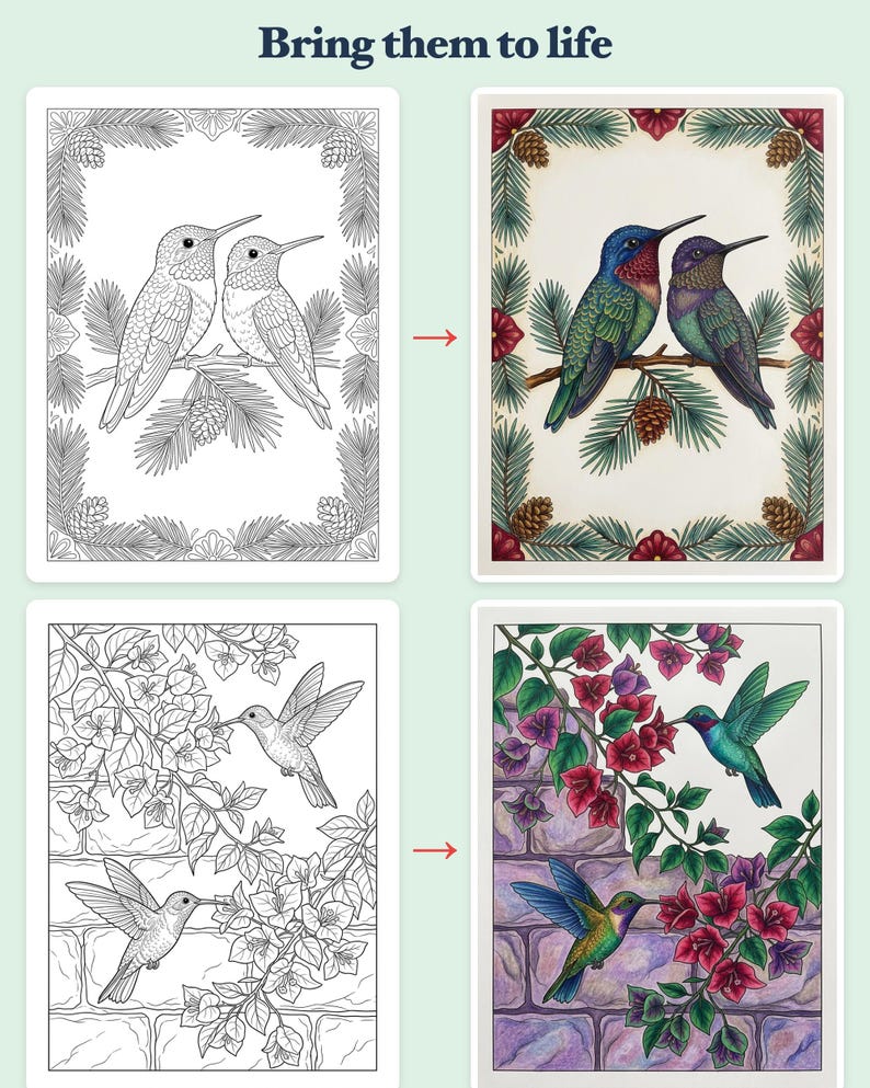 Libro para colorear de colibríes en PDF, flores mexicanas, botánica, páginas para colorear para adultos, imprimibles, diseños de Tenango Otomí Talavera, descarga instantánea. imagen 3