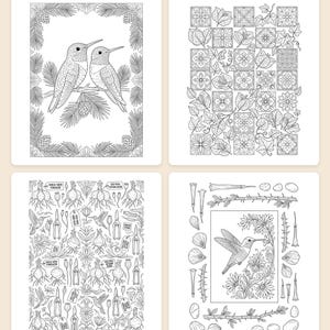 Libro para colorear de colibríes en PDF, flores mexicanas, botánica, páginas para colorear para adultos, imprimibles, diseños de Tenango Otomí Talavera, descarga instantánea. imagen 2